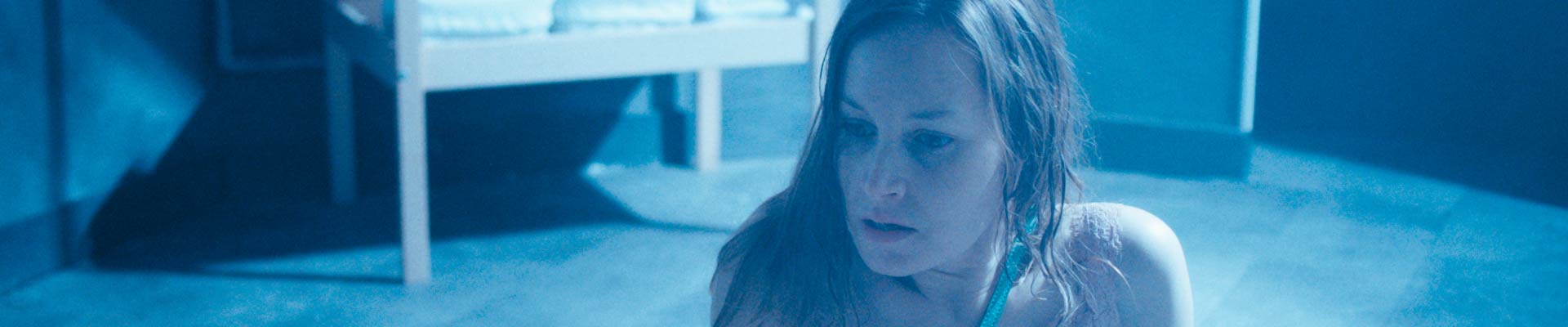 Director page - banner